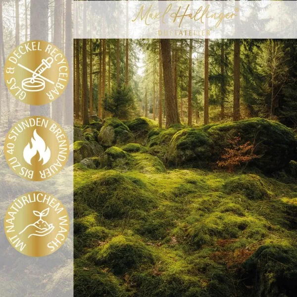 Wild Forest (Wild Forest) - Duftkerze, 40h Raumduft Sojawachs