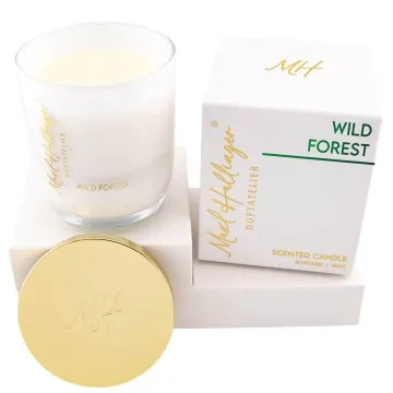 Wild Forest (Wild Forest) - Duftkerze, 40h Raumduft Sojawachs